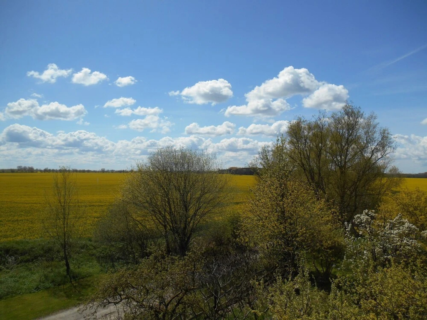 Pension Gut Grabitz auf Rügen