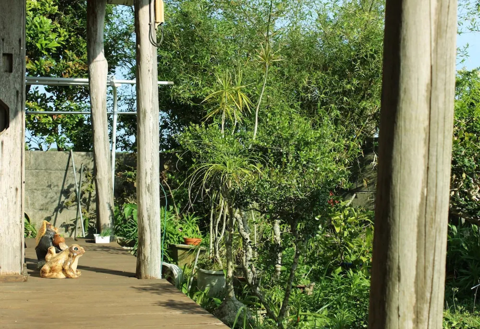 star light terrace TERUYA