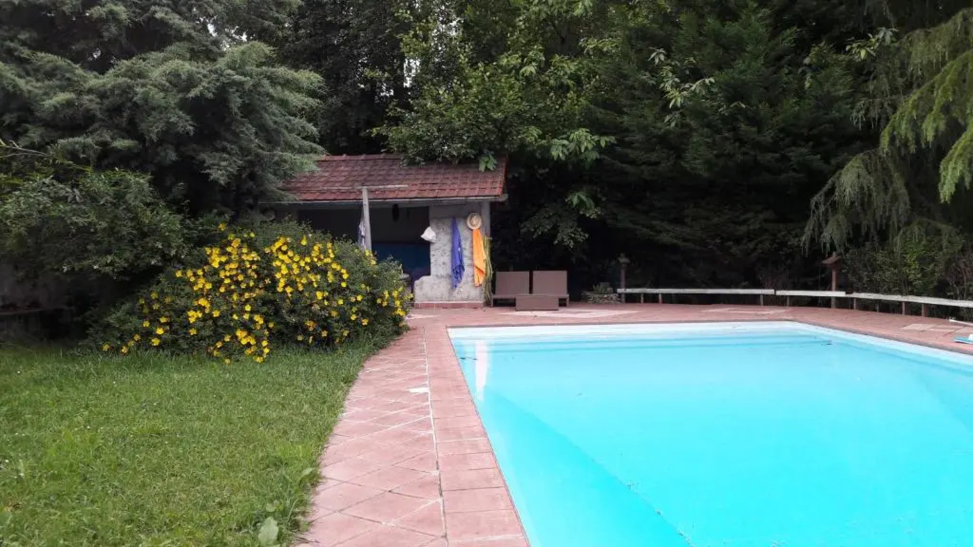 B&B En plein coeur de la forêt