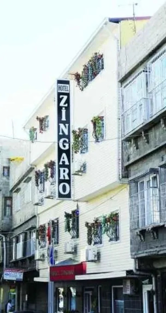 Zingaro