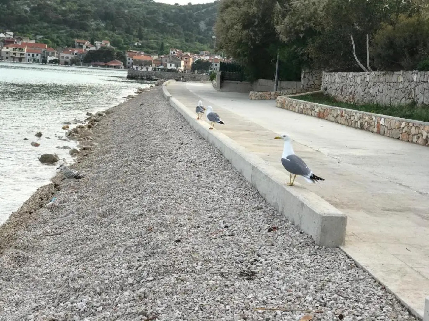 Ivančica Apartments