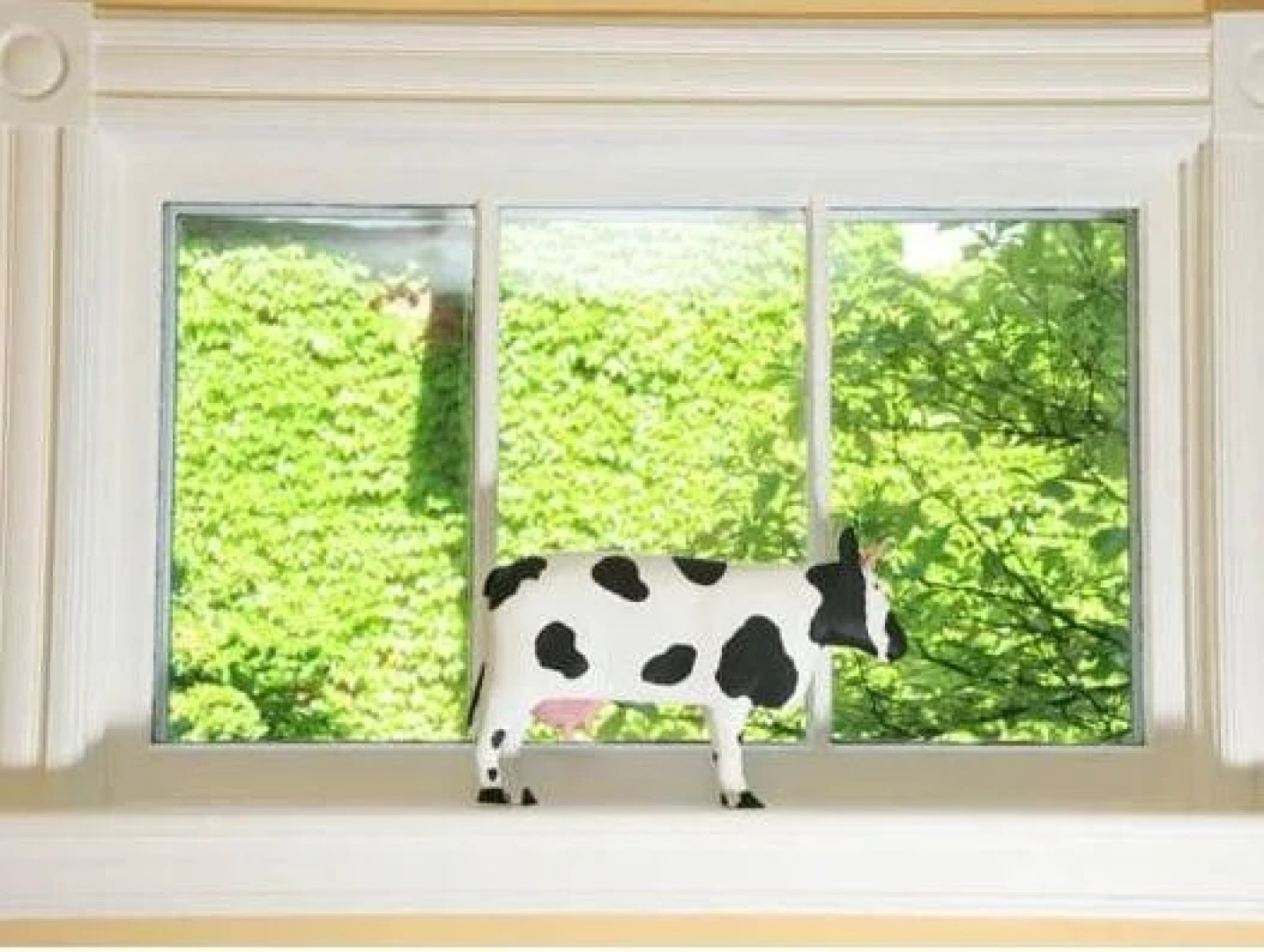 The Caversham House Bed & Breakfast