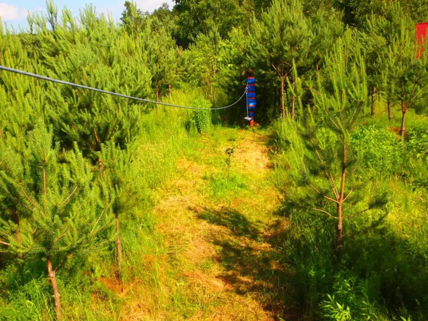 Pokoje Gościnne "Justyna"