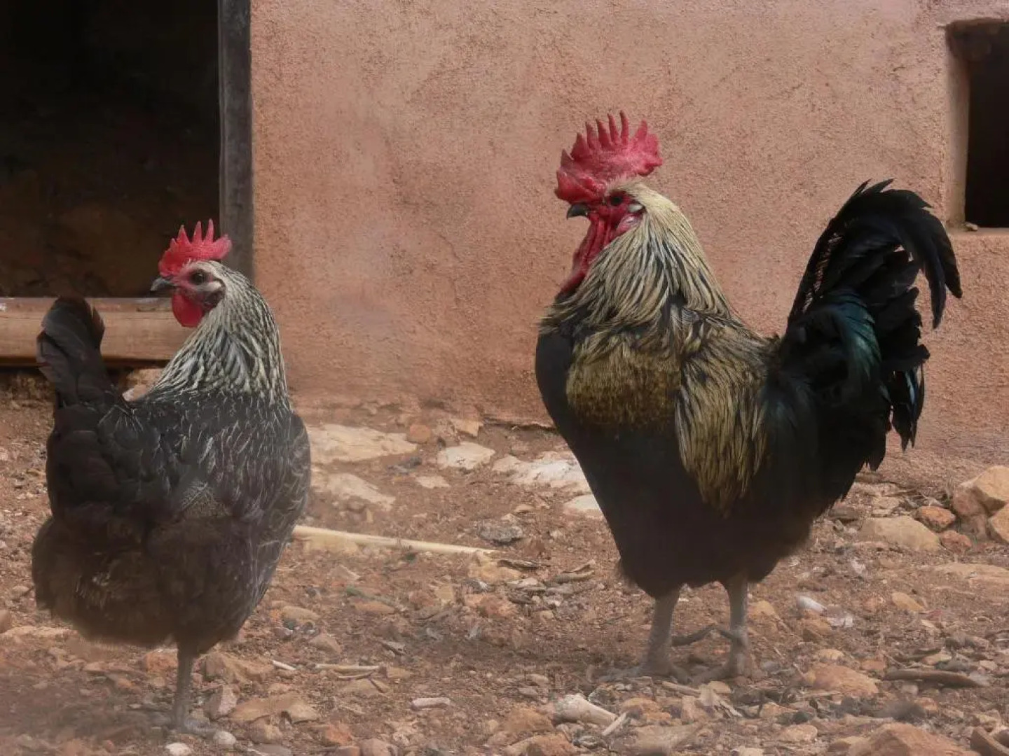 Pou De Beca Allotjaments i agroturisme