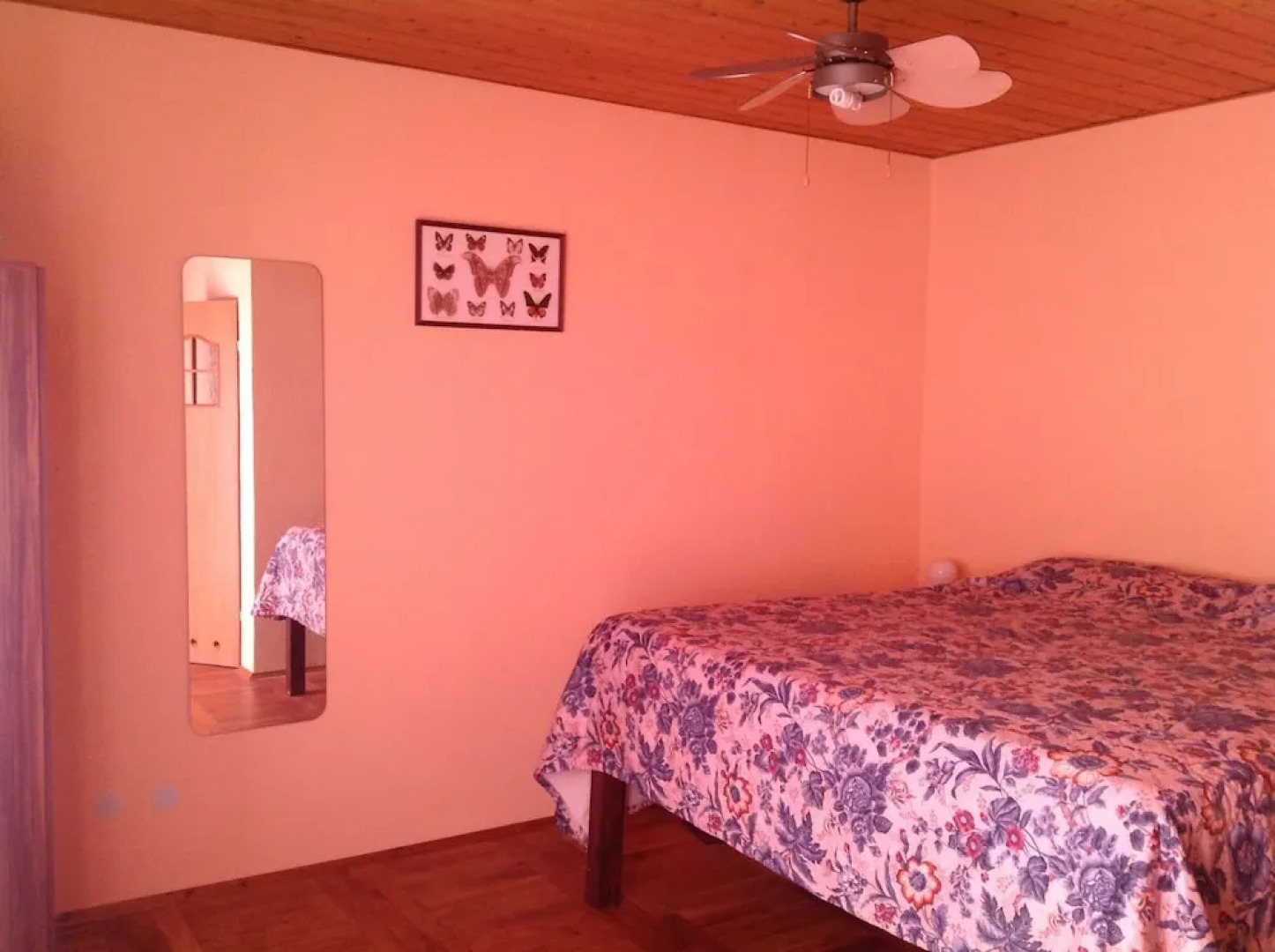 Vacation house for more than family