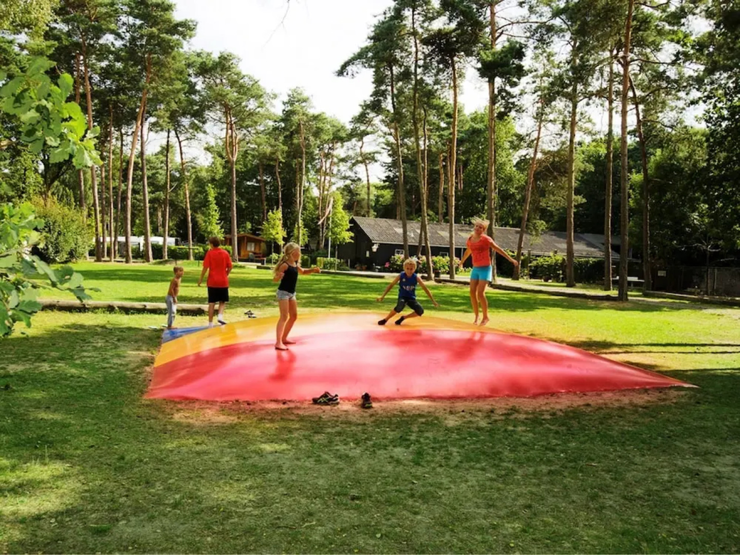 Furnished Chalet near Oisterwijkse Vennen