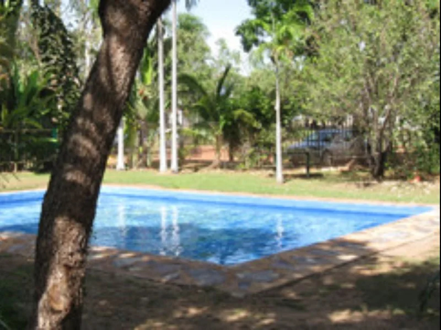 Lazy Lizard Tavern and Caravan Park Cabins