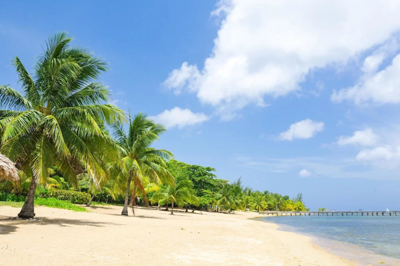 Lawson Rock - Angelfish 100