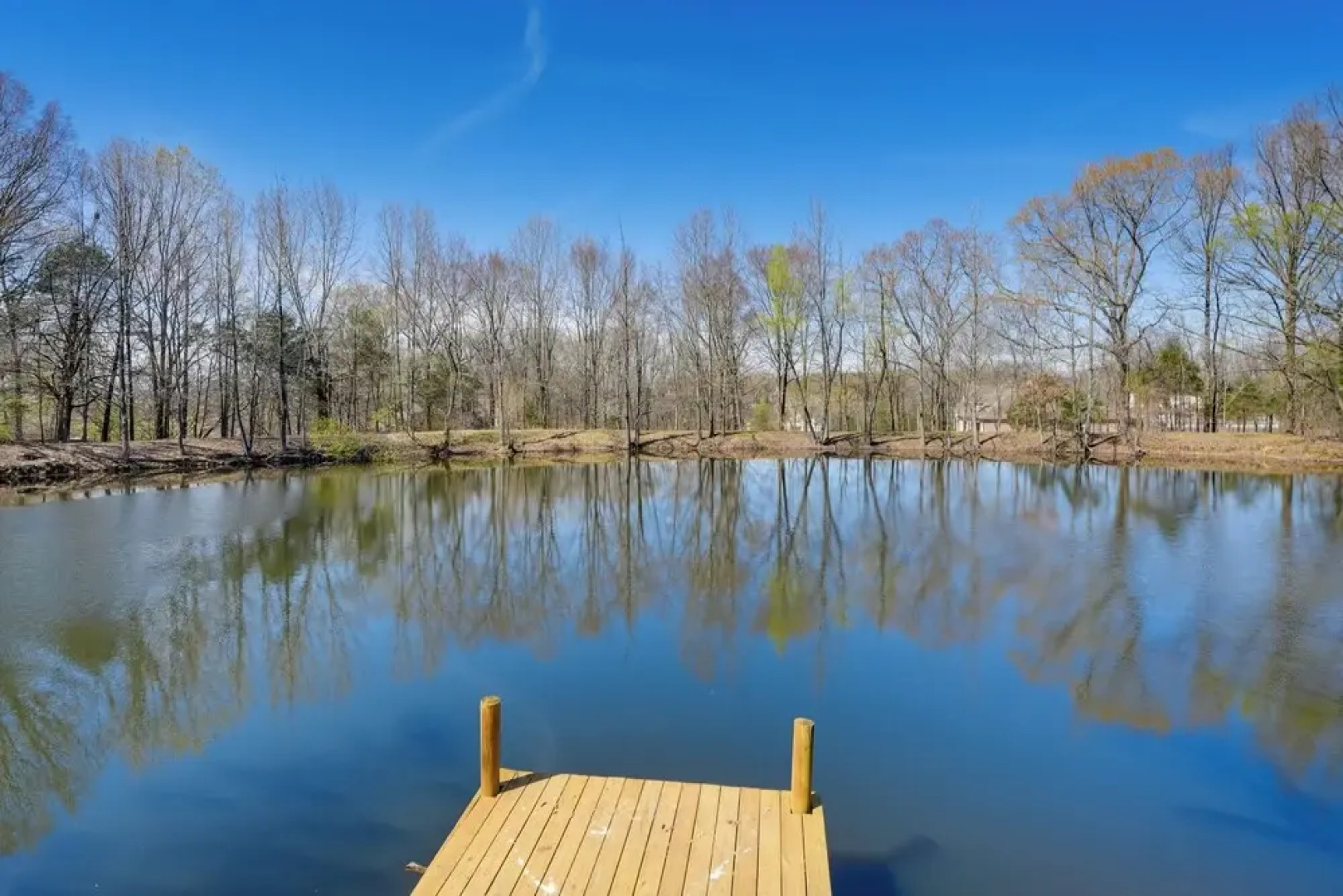 Stunning Southaven Estate: Pool & Spacious Deck!