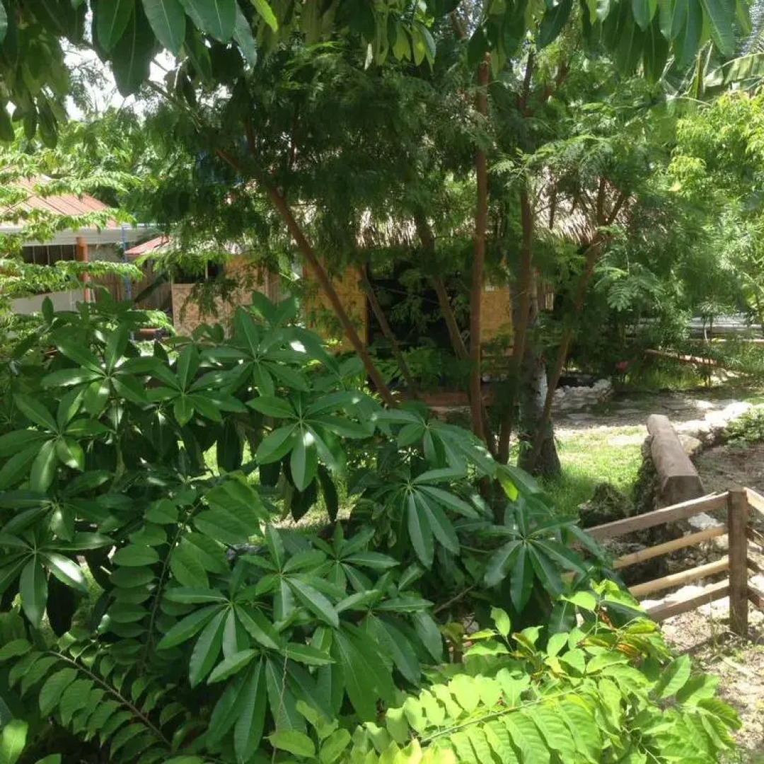 Liwayway Sa Bohol-Pamilacan Bed & Breakfast