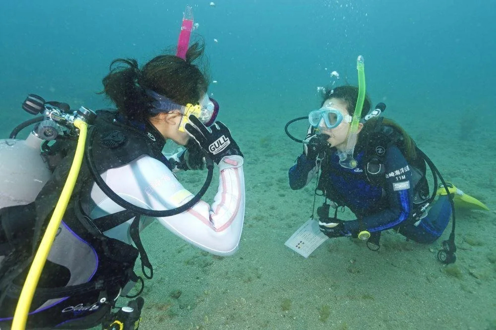 Shirasaki Kaiyo Kouen