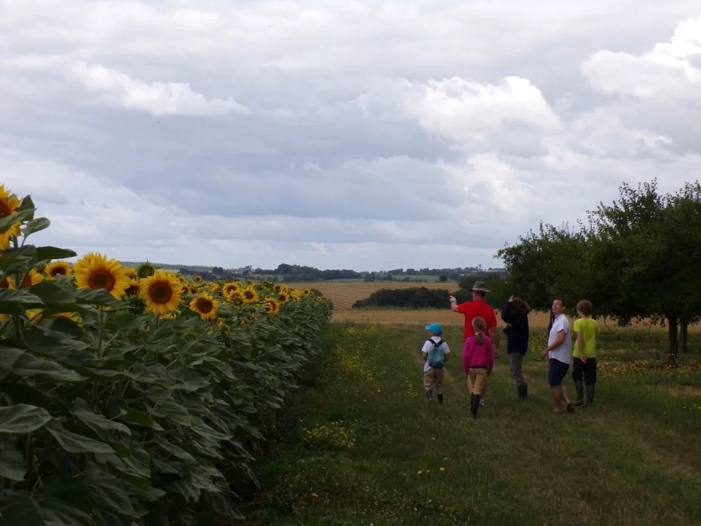 Modern Villa in La Romieu With Swimming Pool