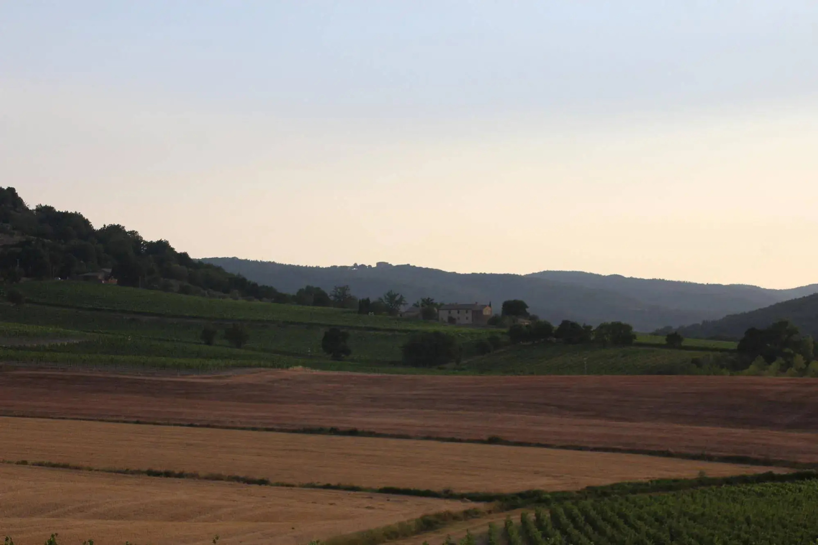 Podere Salicotto