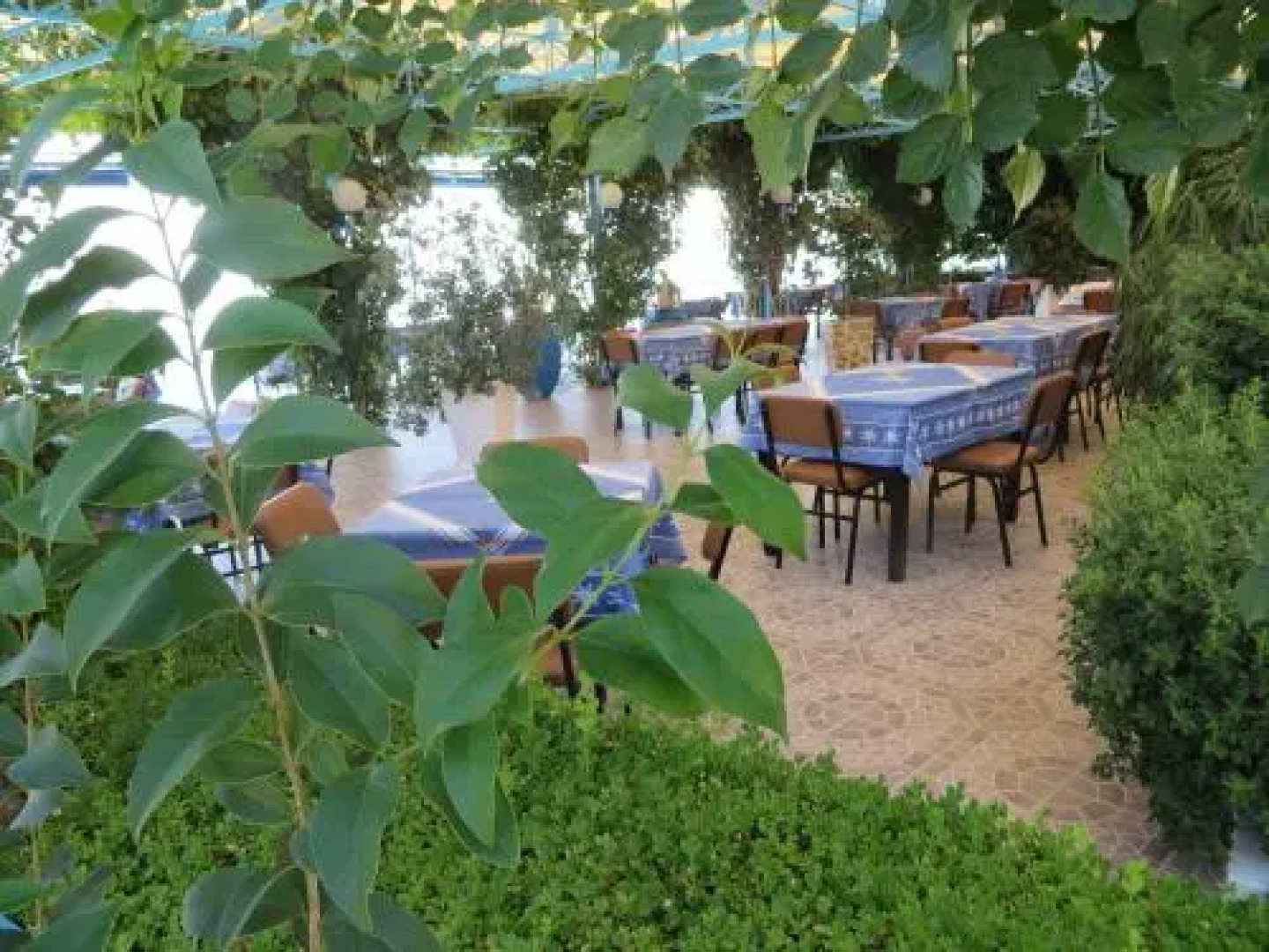 Blue Sky Apartments & Rooms