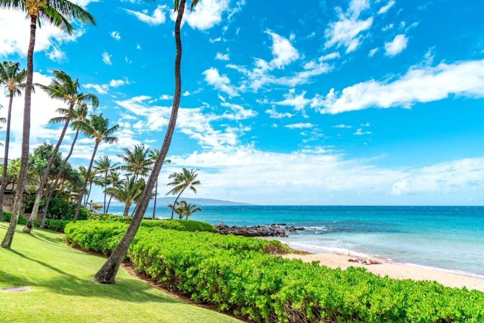 Polo Beach Club POL-109 by KBM