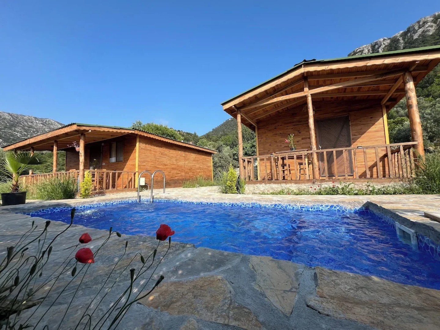 Afera Koy Evi
