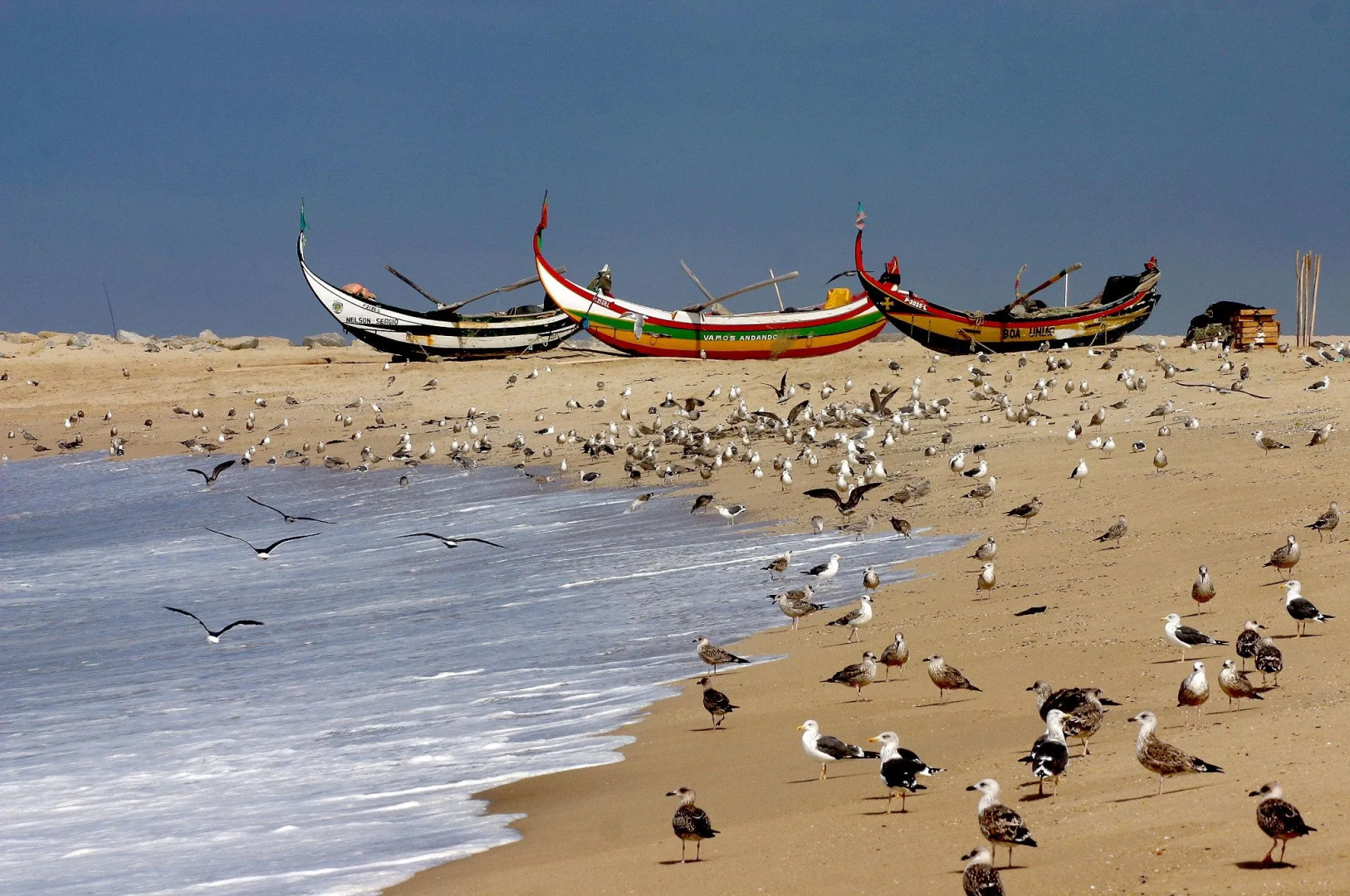 Hotel Apartamento Solverde