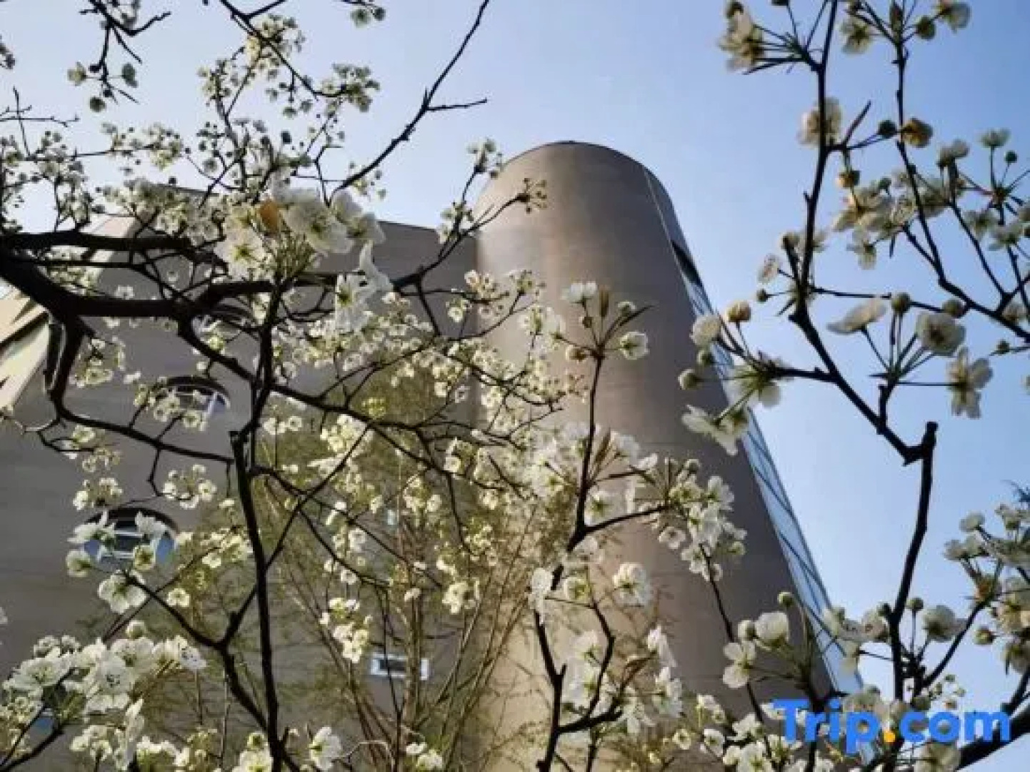 Jincheng Haoxiang Jinnian Hotel