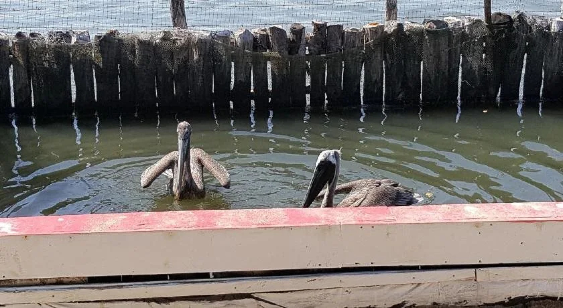 Hotel La Casa Dorada