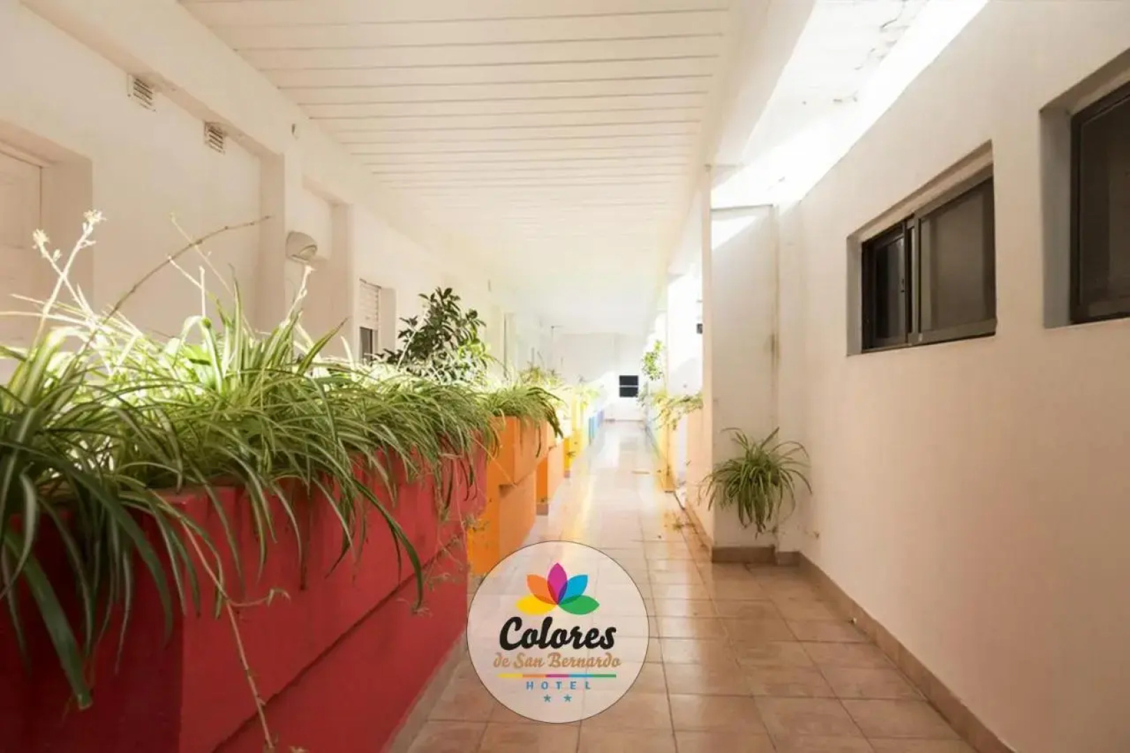 Colores De San Bernardo