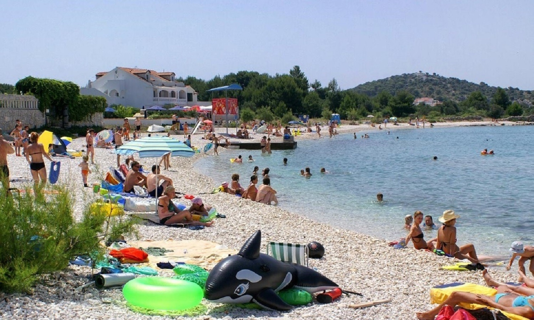 Apartment Amalija - 50m close to the sea: A3 posebni Rogoznica, Riviera Sibenik