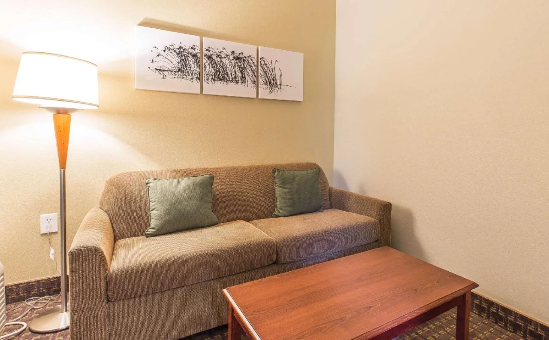 Sleep Inn and Suites at Kennesaw State University