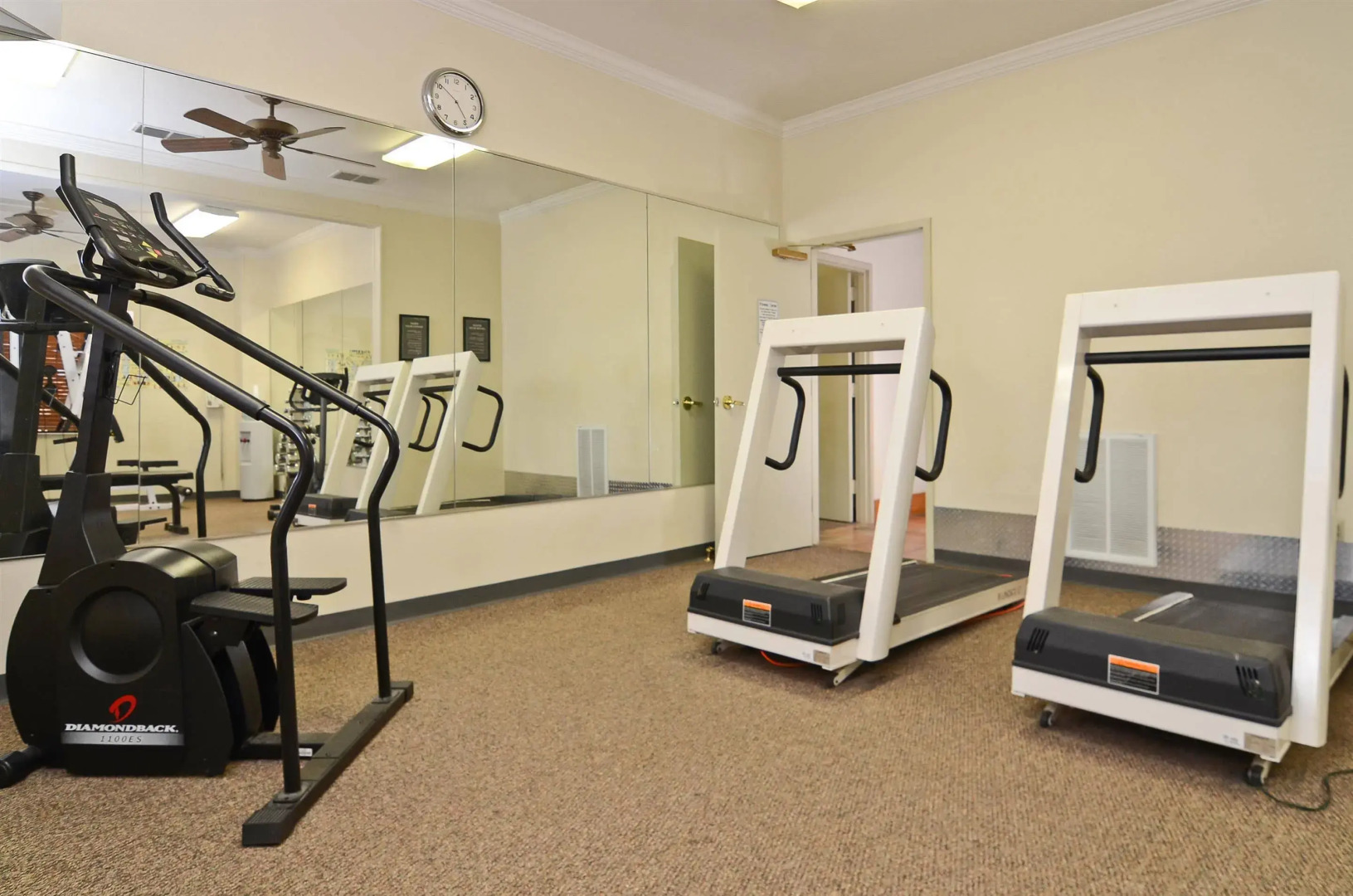 Best Western Dinosaur Valley Inn & Suites