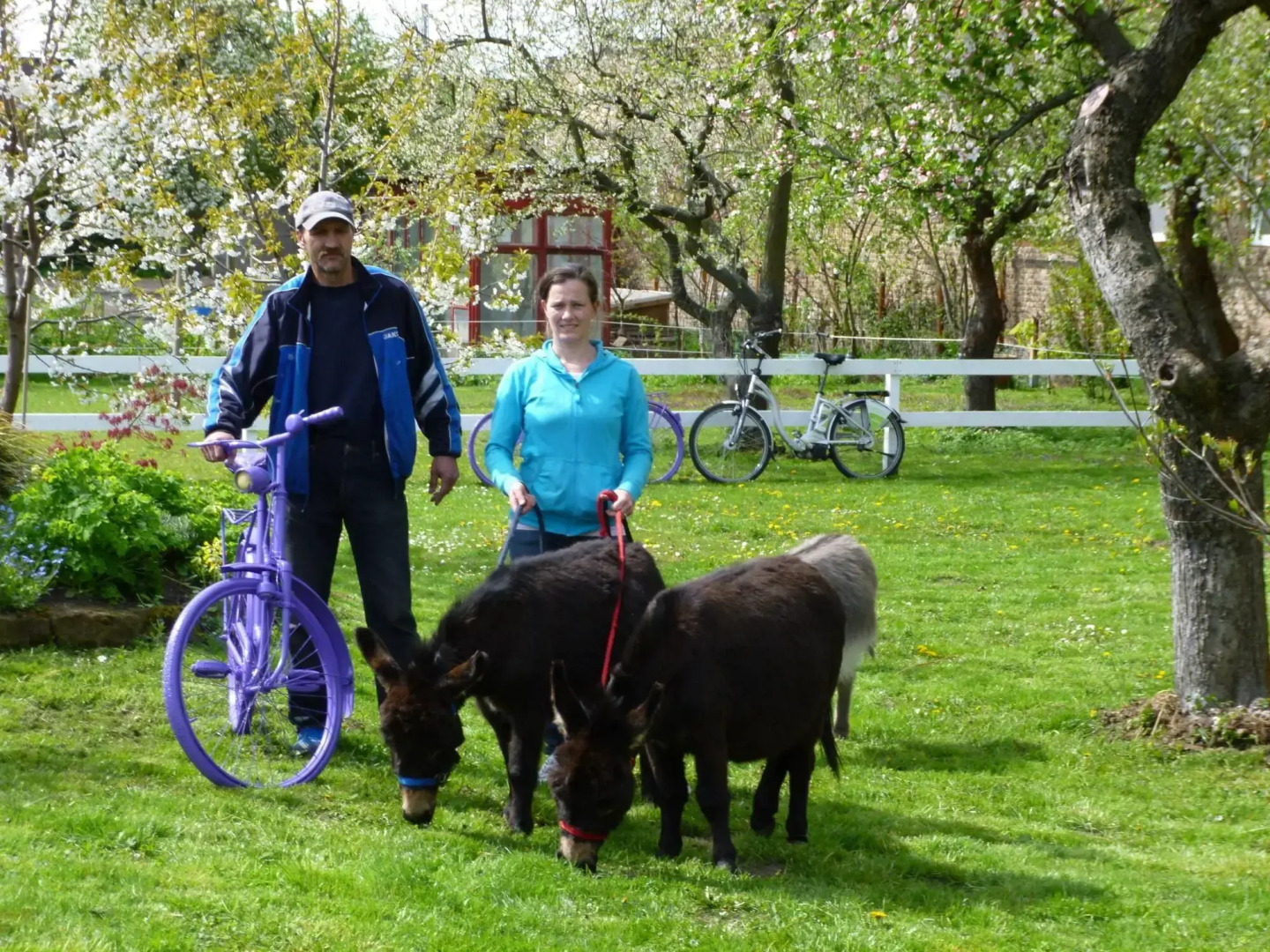 Hotel Lavendelhof & Eselhof Nauen