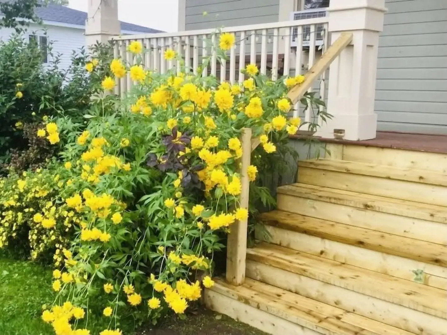 The Carriage House Inn