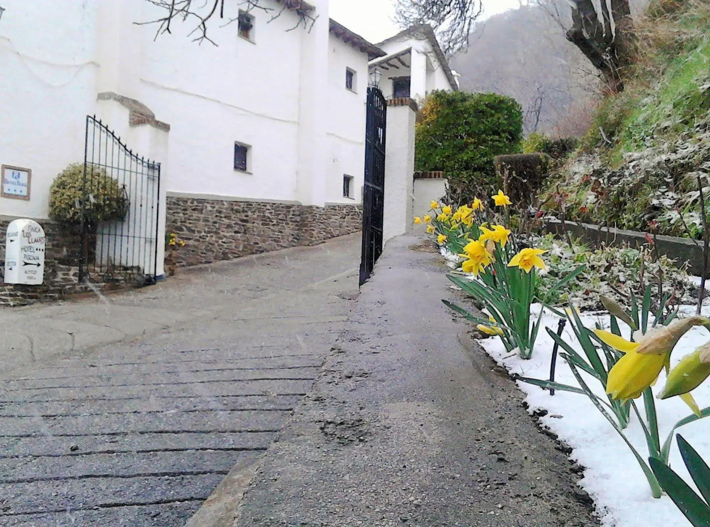 Finca Los Llanos