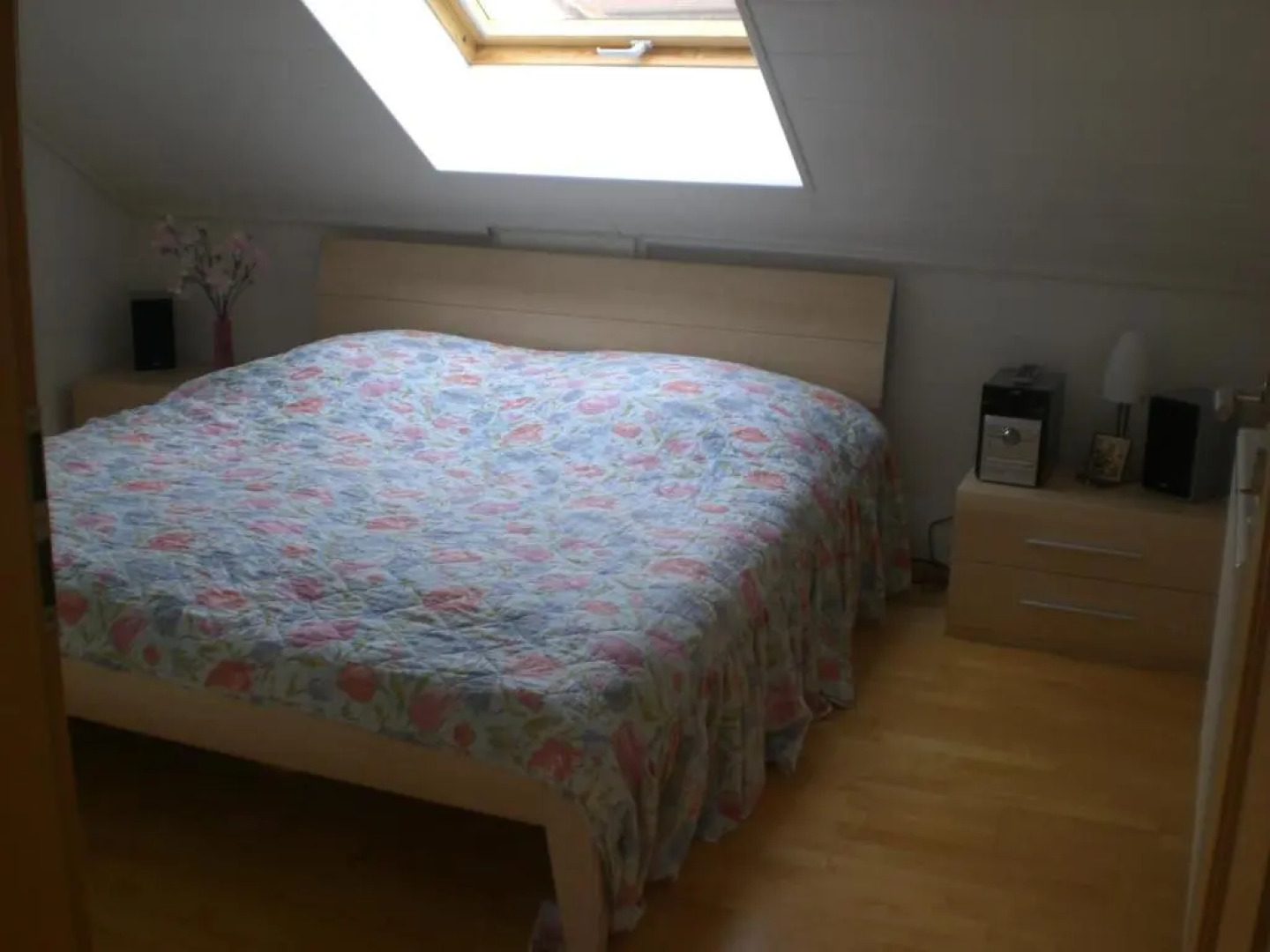 Romantisches Hirschhorn am Neckar