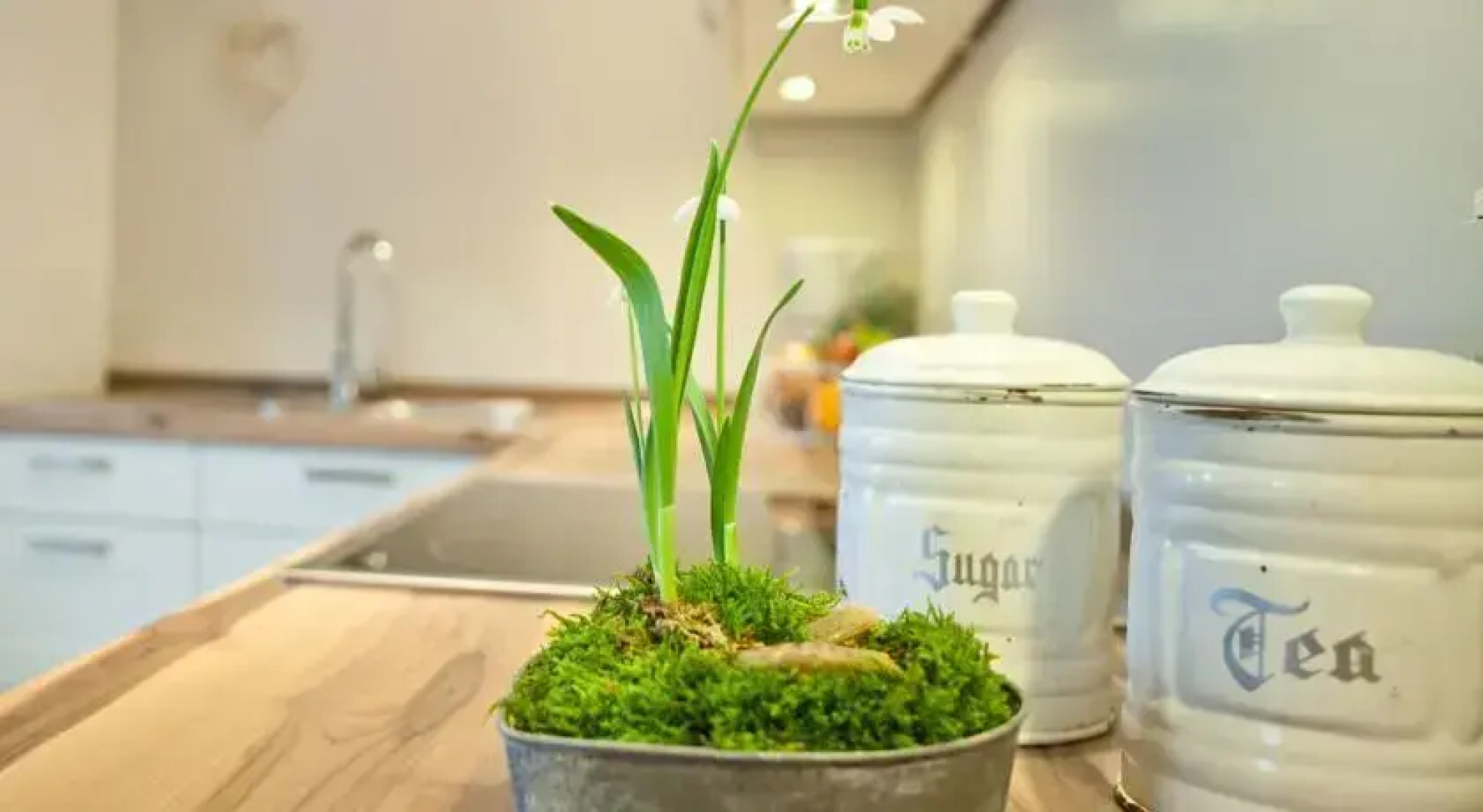 Bauernhof Familie Wulff