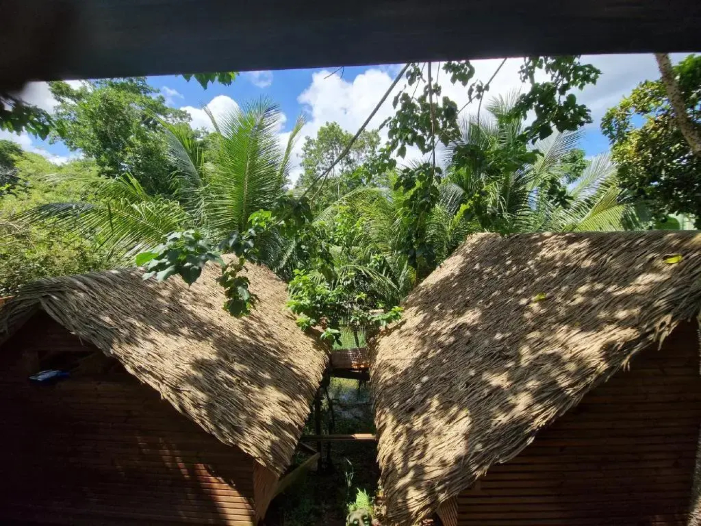 Pura Vida lodge
