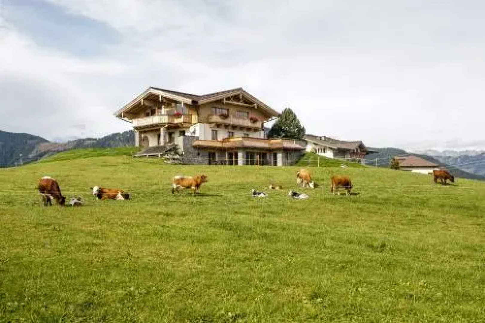 Chalet Winterbauer