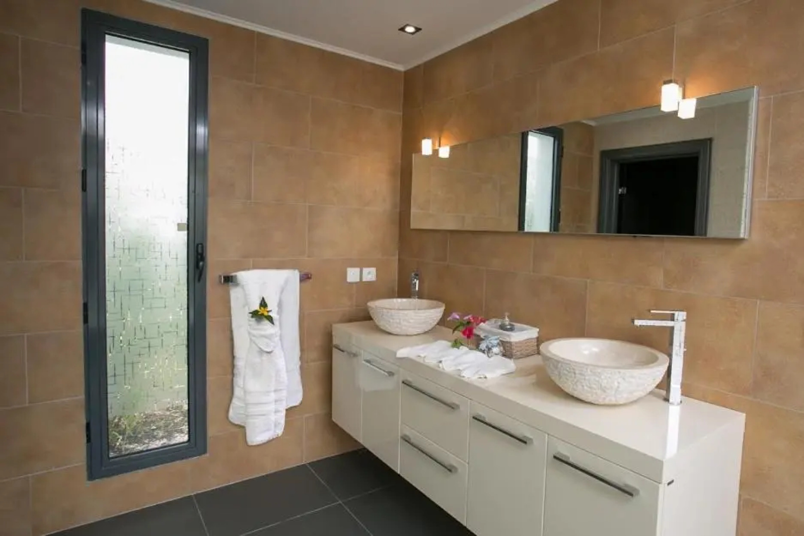 Villa Dolphin Saint Martin