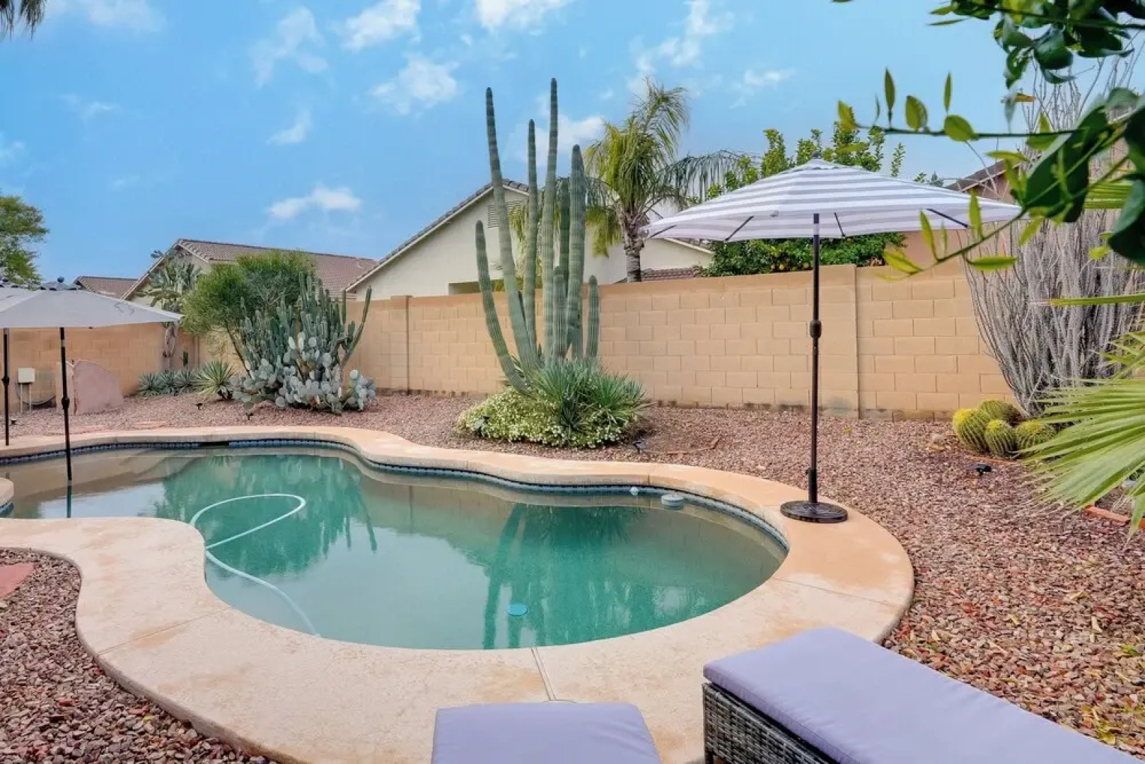 Pool, Fenced Yard: El Mirage 'sunshine House'