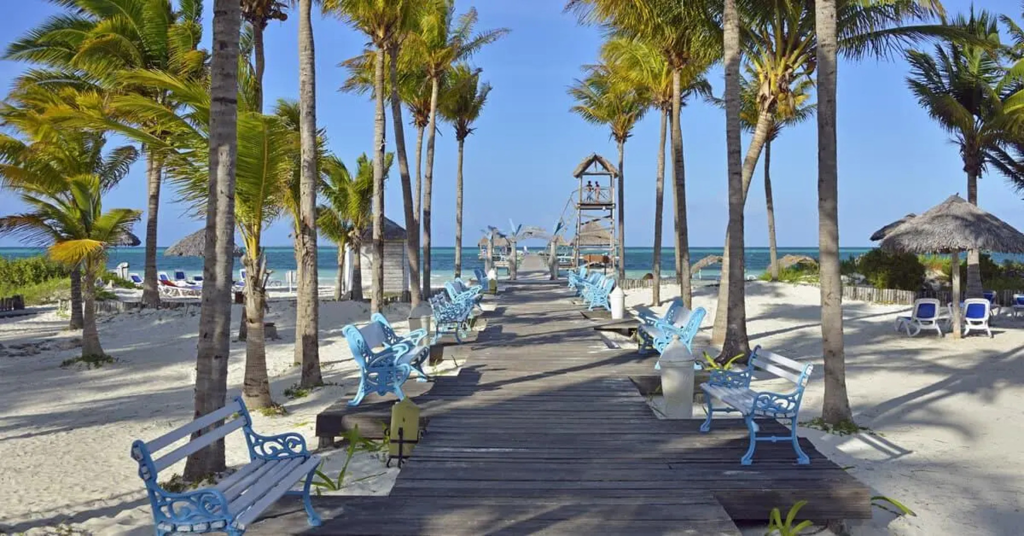 Melia Cayo Guillermo