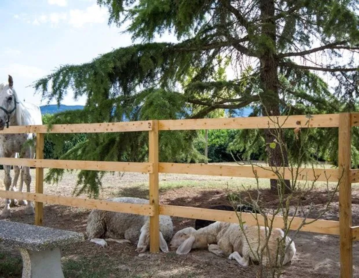 Agriturismo Casa Cantone