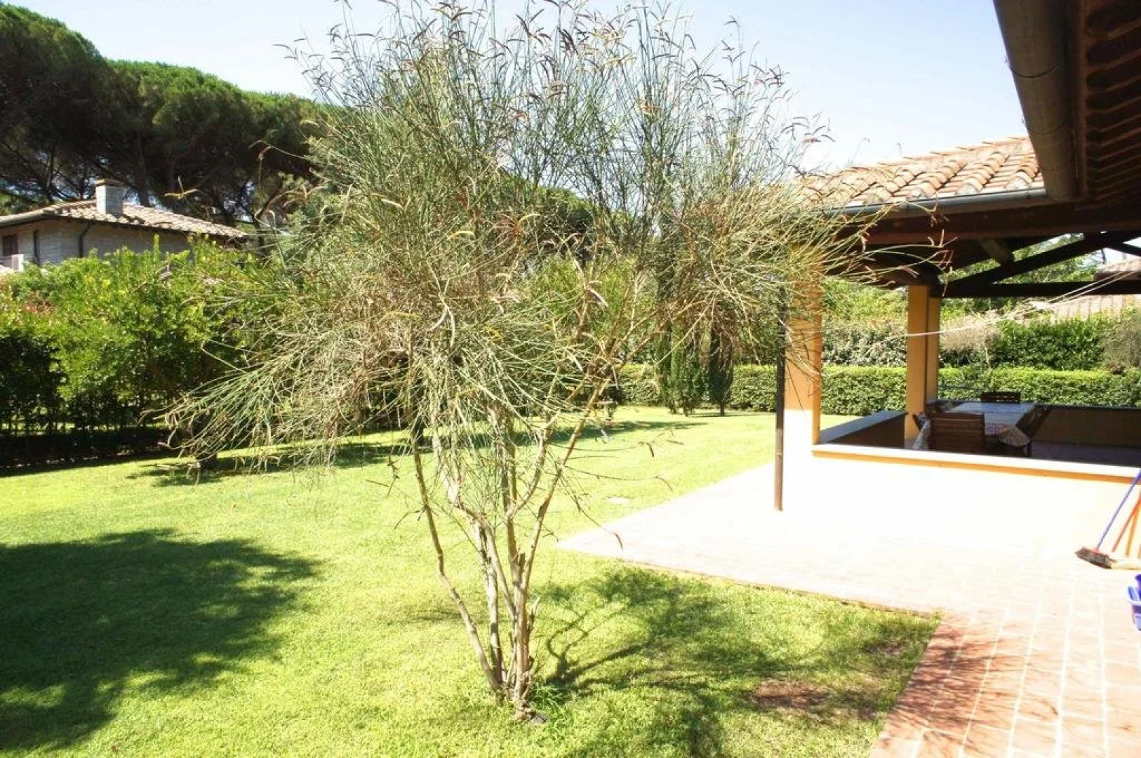 Ville Di Villa Biserno