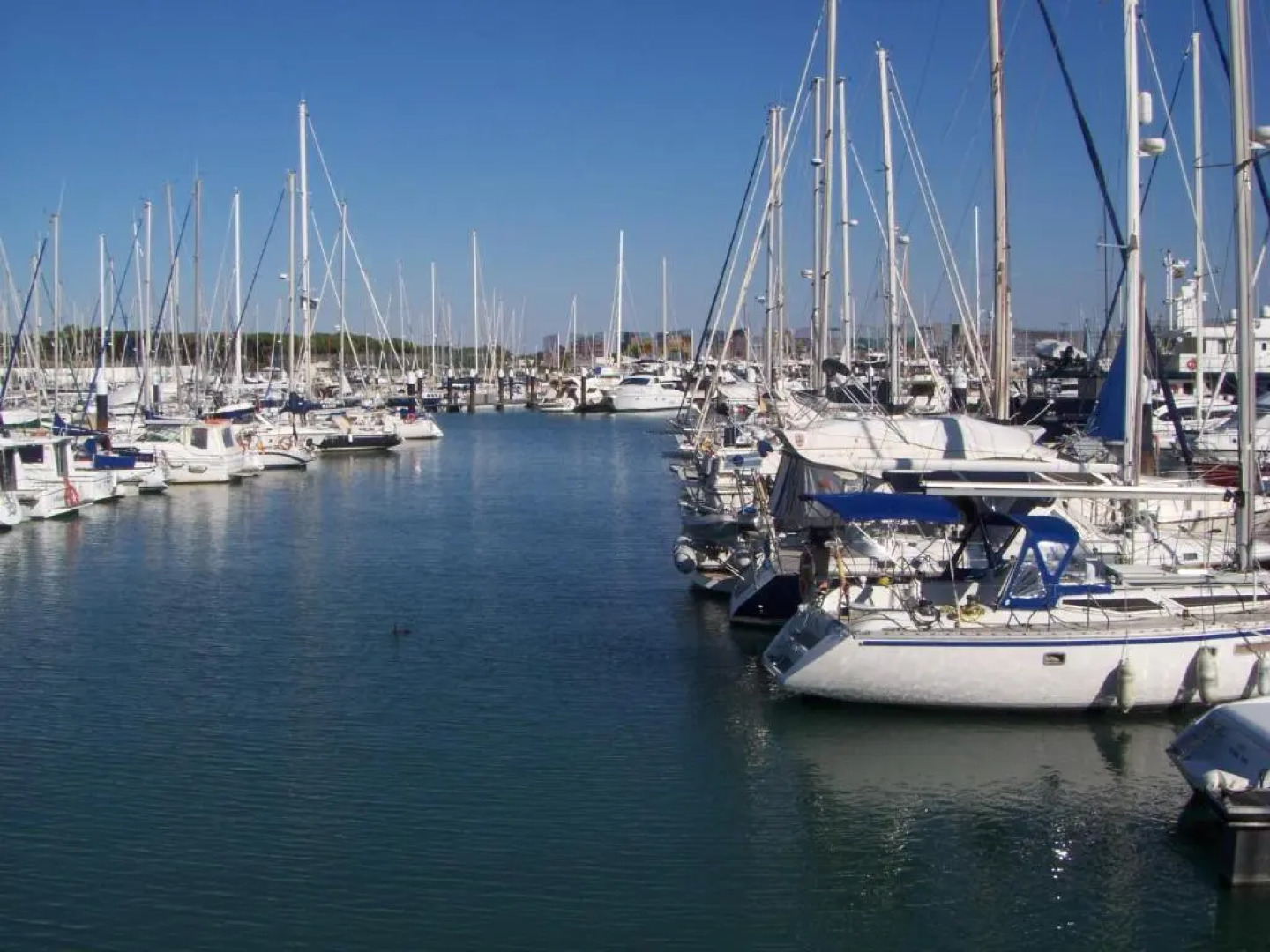 Apartamento Caballo Sherry