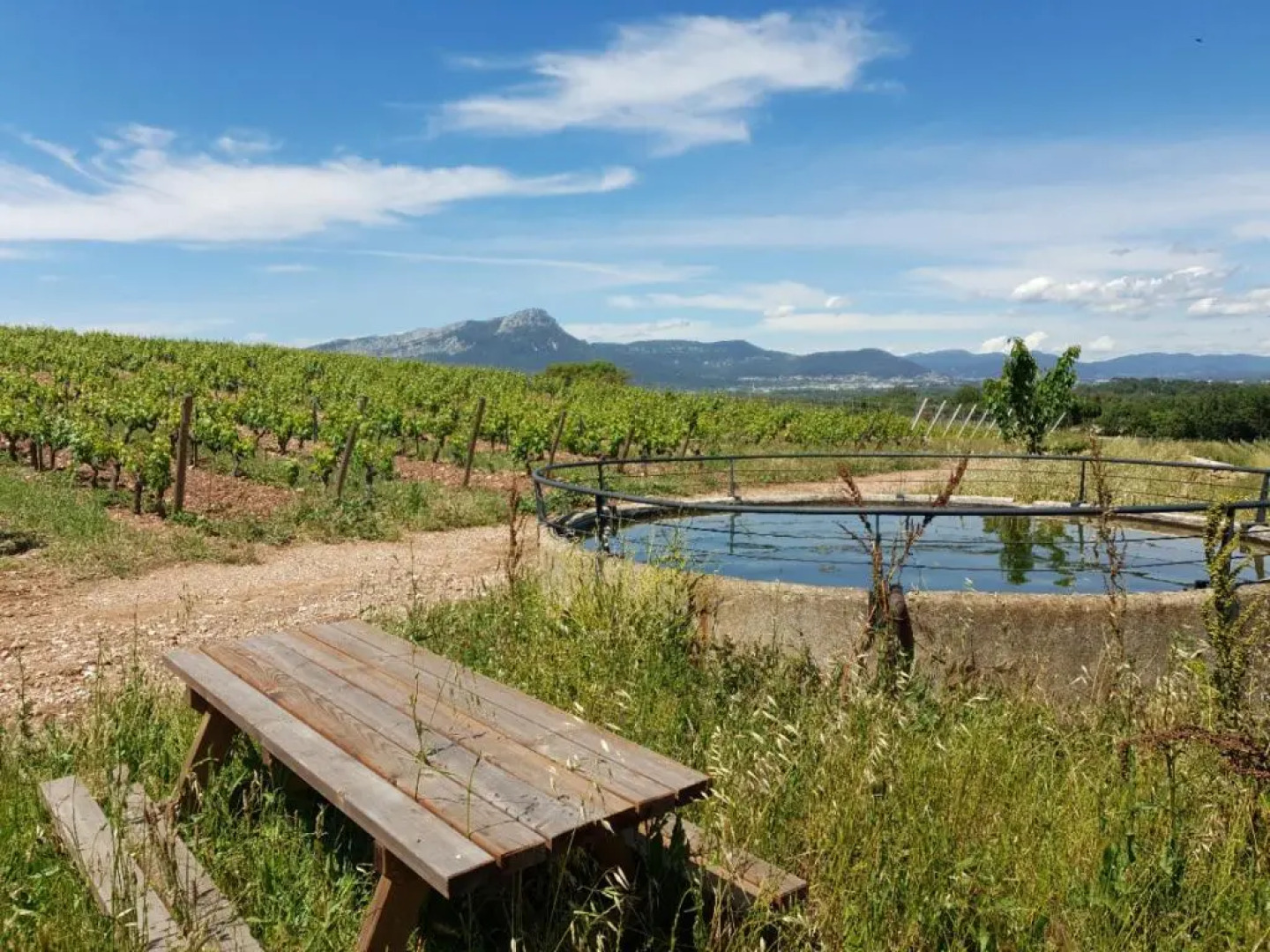 Domaine De La Navicelle - Cabernet