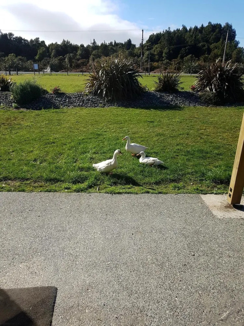 Blackhouse Guesthouse