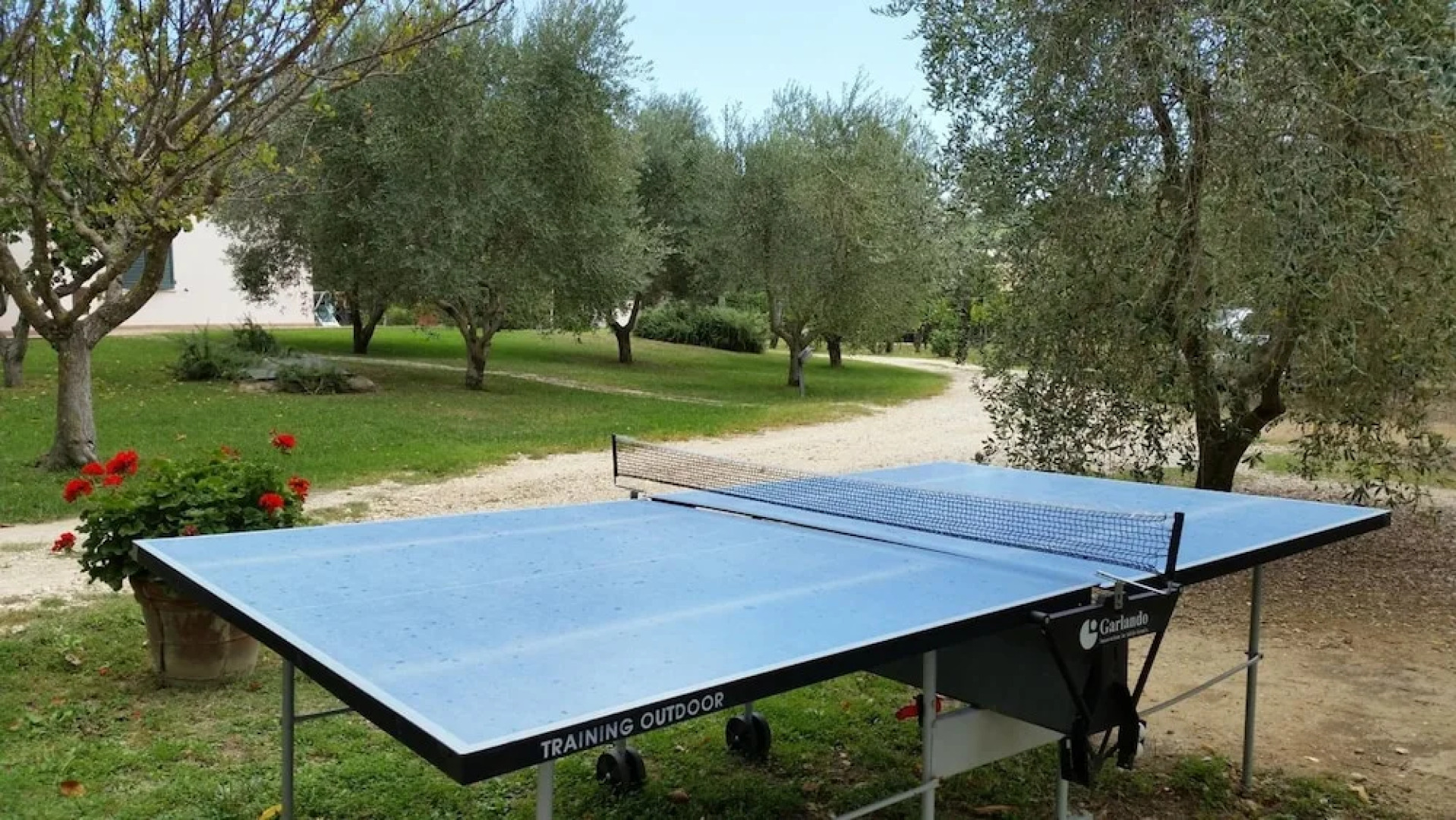 I Sicomori - Seme di Carota - Glamping e appartamenti con piscina a Saturnia