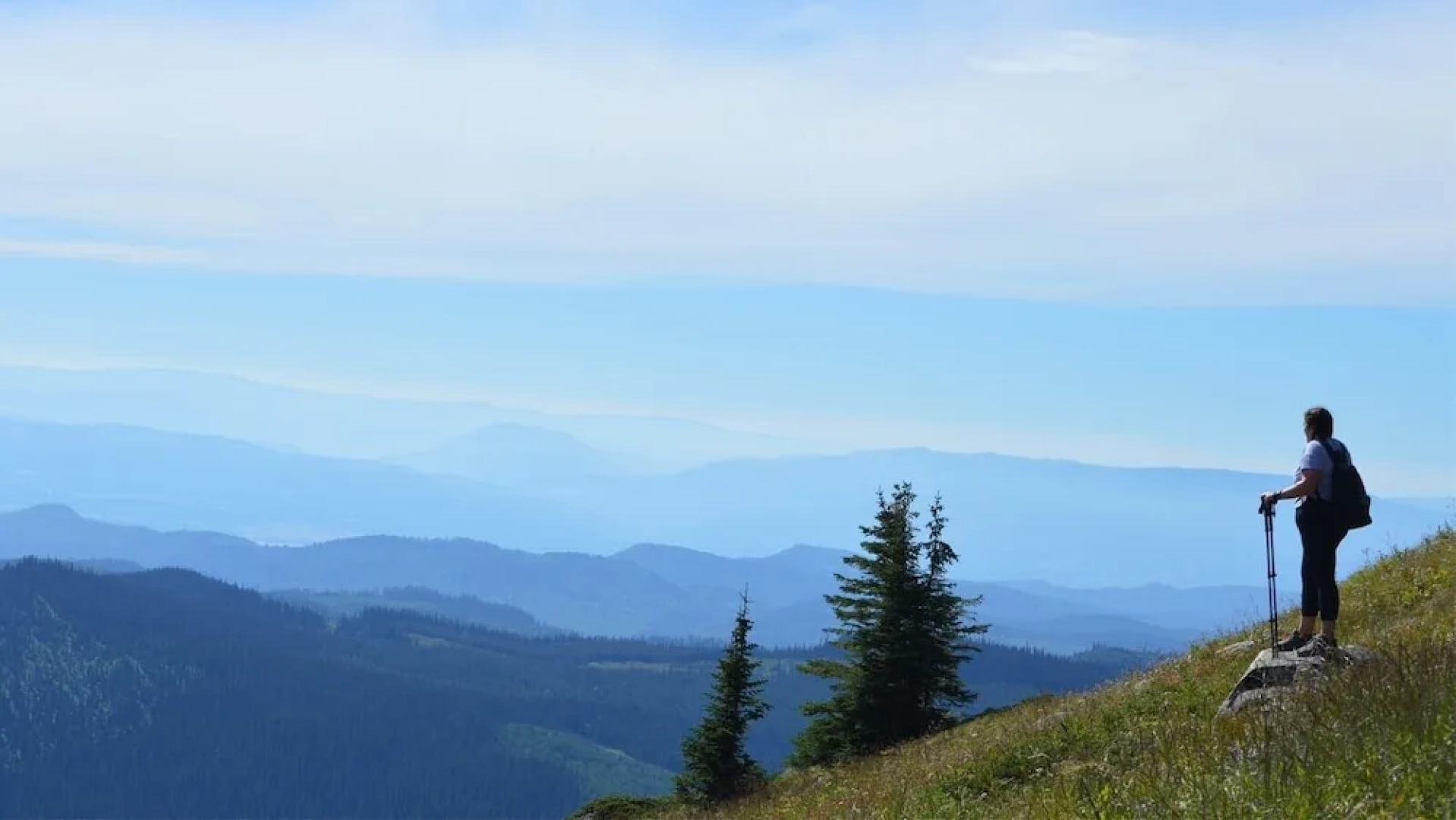 Fireside Lodge by Bear Country