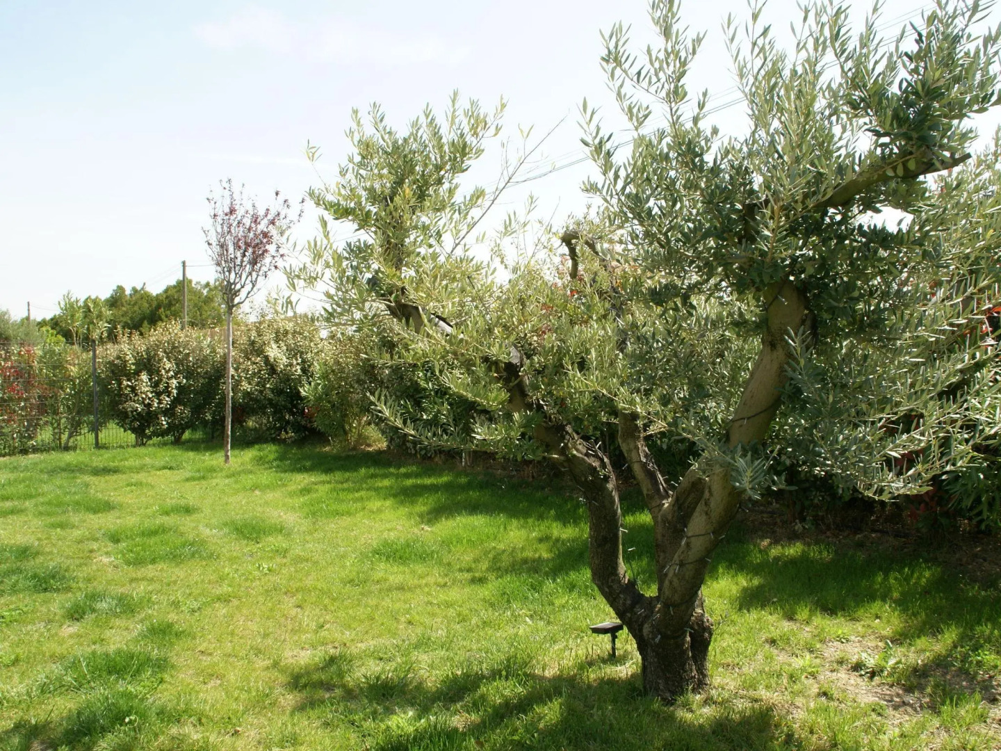 Modern holiday home with private swimming pool, air conditioning and enclosed garden