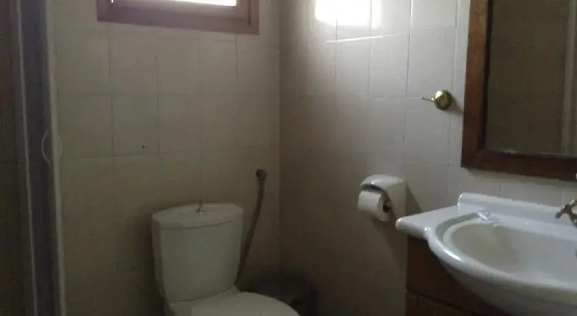 Arhontiko in Kouri Forest