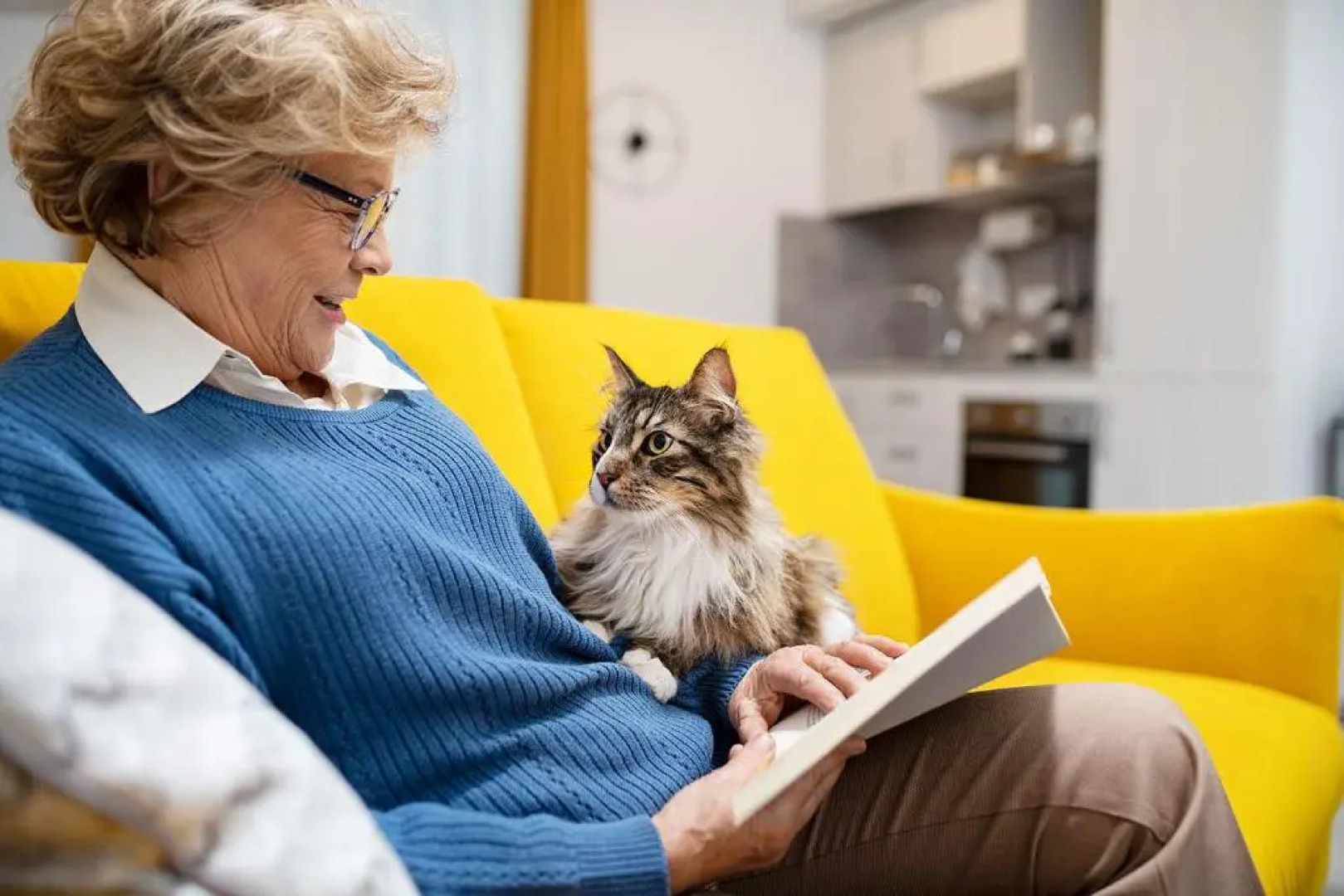 Domitys Quarto Verde