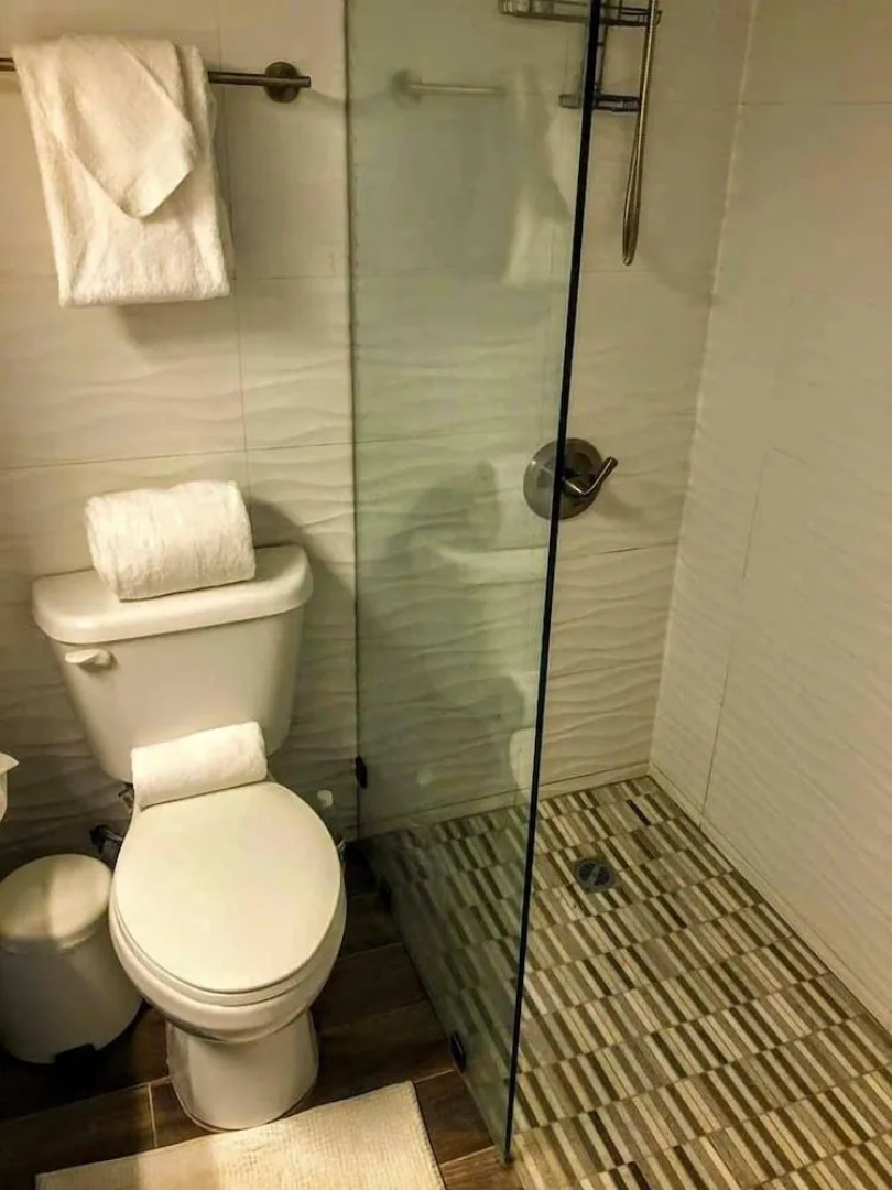 Starfish by the Ocean