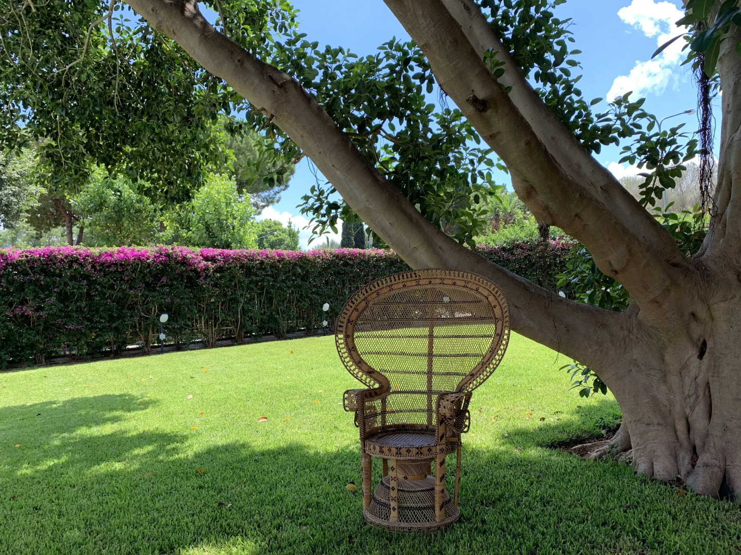 Il Giardino di Venere