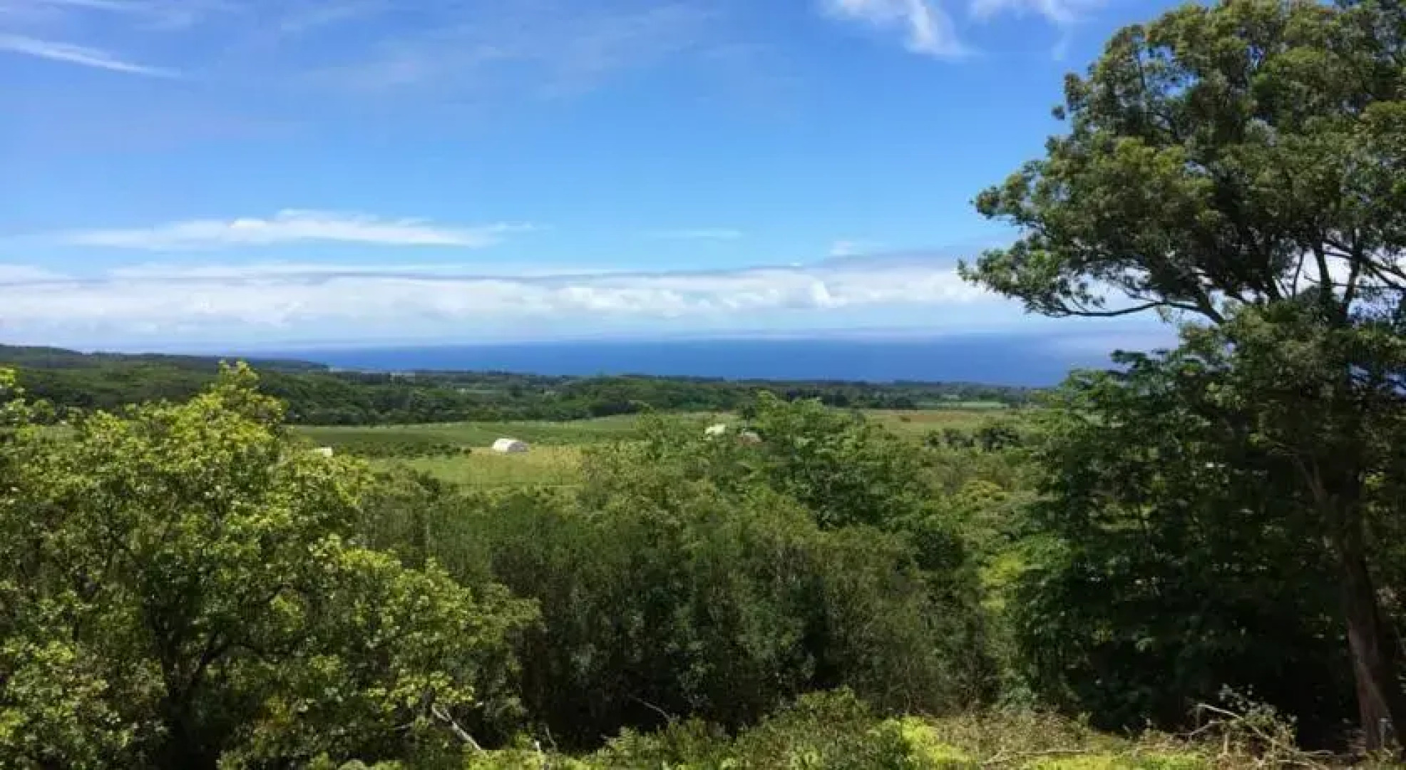 Brand New Home on 5 Acres